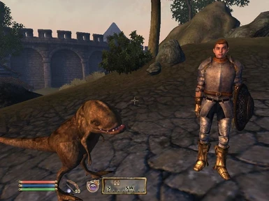 travelling trader with his guar