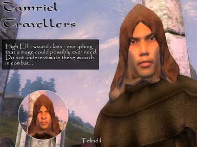 Tamriel Travellers