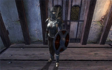 Skyrim Style Plate Armor Female Version