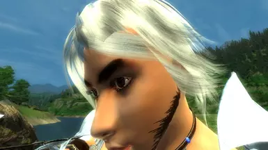 how to install rens beauty pack oblivion how to install rens beauty pack oblivion