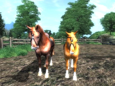 Caramell and Chestnut Compare