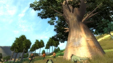 Baobab and Palmetto