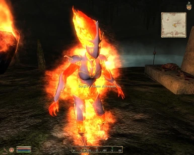 Flame atronach replacer and Improved fire and flames mod instead of the bundled archive 'optional flame replacer'