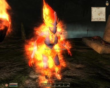 Flame atronach replacer and Improved fire and flames mod instead of the bundled archive 'optional flame replacer'