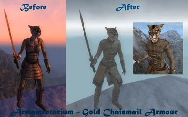 Protective gold chainmail armour