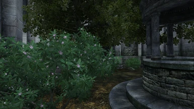 Wise Mystical Tree at Oblivion Nexus - mods and community