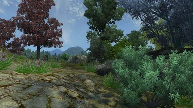 Wise Mystical Tree at Oblivion Nexus - mods and community