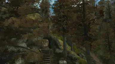 New white pine - fall
