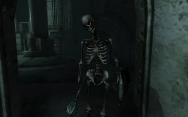 Skeleton Guardian shader
