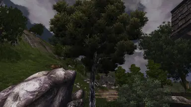 Wise Mystical Tree at Oblivion Nexus - mods and community