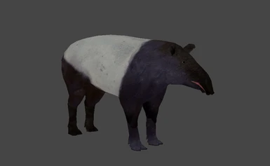 Asian Tapir