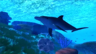 Animal Life of Bettys Island 2
