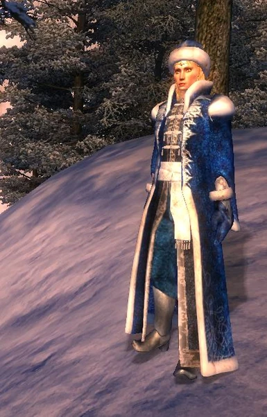 Father Frost outfit