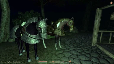oblivion horse armor bug
