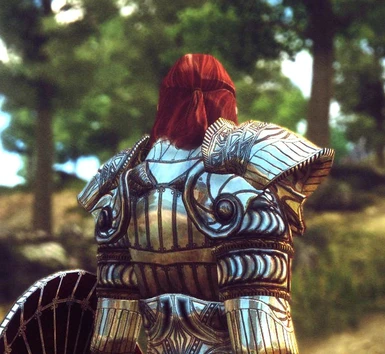 Reflective armors at Oblivion Nexus - mods and community