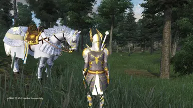 New Heaven's Fury Light Armor + Paladin's Stallion (5.0 Alpha)