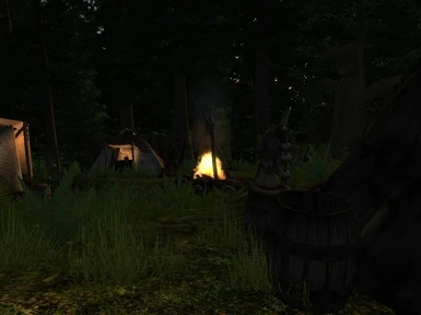 Forest Camp 1