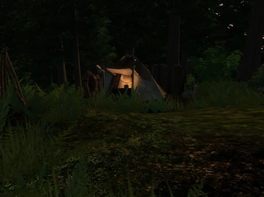 Forest Camp 2