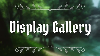 Display Gallery