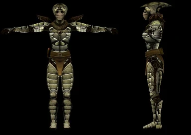 6 Female Armor