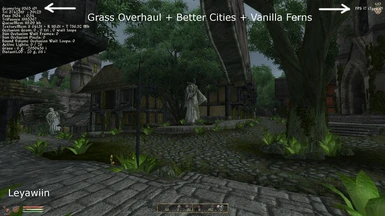 Leyawiin Better Cities - Grass Overhaul - Vanilla Ferns
