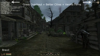 Bravil Better Cities - Grass Overhaul - Vanilla Ferns