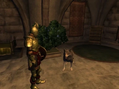 Ayleid Knight with Pet Wolf 3
