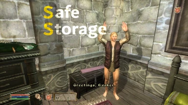 fallout nv safe storage