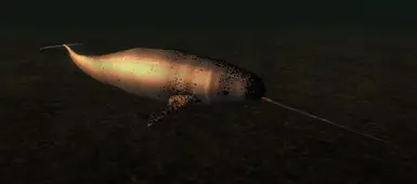 Narwhal