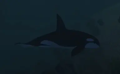 Orca
