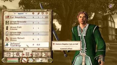Description of the basic amulet