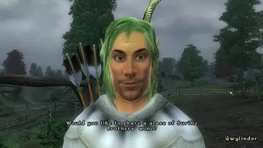 Gwylindor, the quest bearer to upgrade the amulet