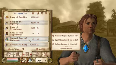 The Sacred Tear of Julianos, the upgraded amulet