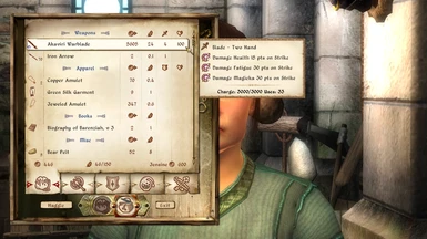 how to set up darnified ui oblivion