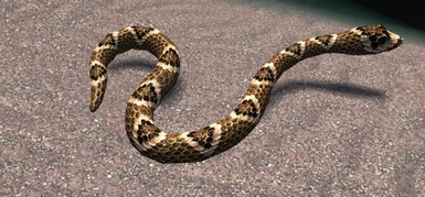 Rattletail the Rattlesnake