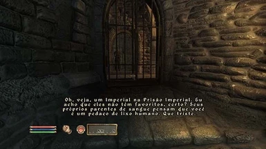 Oblivion with DLCs - Portuguese translation at Oblivion Nexus - mods and  community