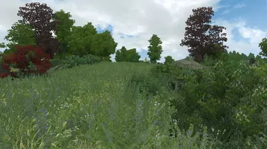 oblivion hd texture pack