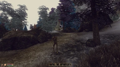 A Wandering Zombie encountered near Bruma