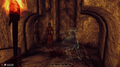 A Ghost Warrior chased this poor orc lady into Sercen hahaha
