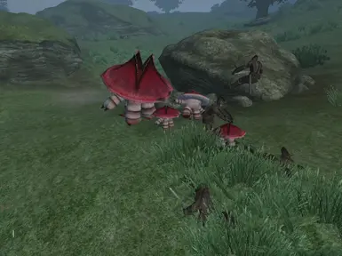 Mushroom