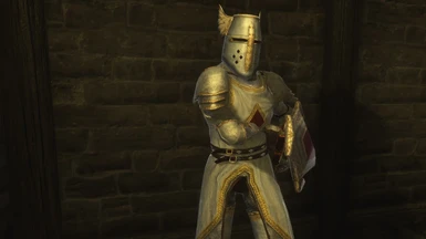 Cleansed Crusader armor