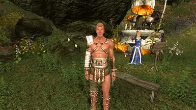 NPC Personality Additions Ortis' Arena Armor