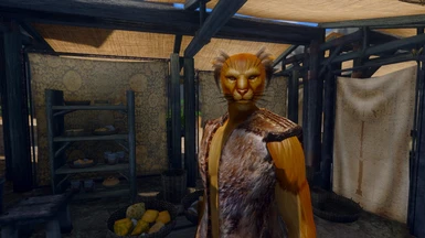 Vanilla Khajiit - What to expect when used with Seamless Khats & Args