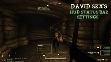 darnified ui oblivion manual settings darnified ui oblivion manual settings
