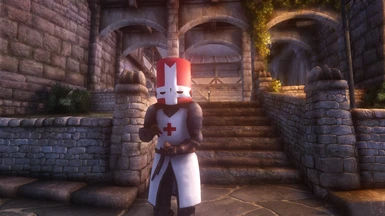 Update for Castle Crashers mod at Oblivion Nexus - mods and community