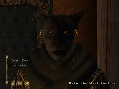 Baku, the Black Panther will sell you amulets and rings.