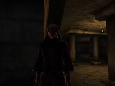 A Khajiit Necromancer.