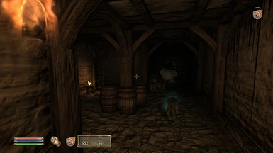 The Abandoned Basement below Cheydinhal. (The rat is from a different mod.)