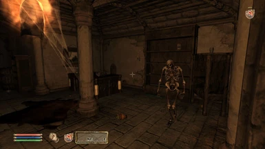 An Undead Prisoner inside the Old Leyawiin Dungeon.