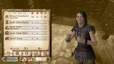 Inventory icon before